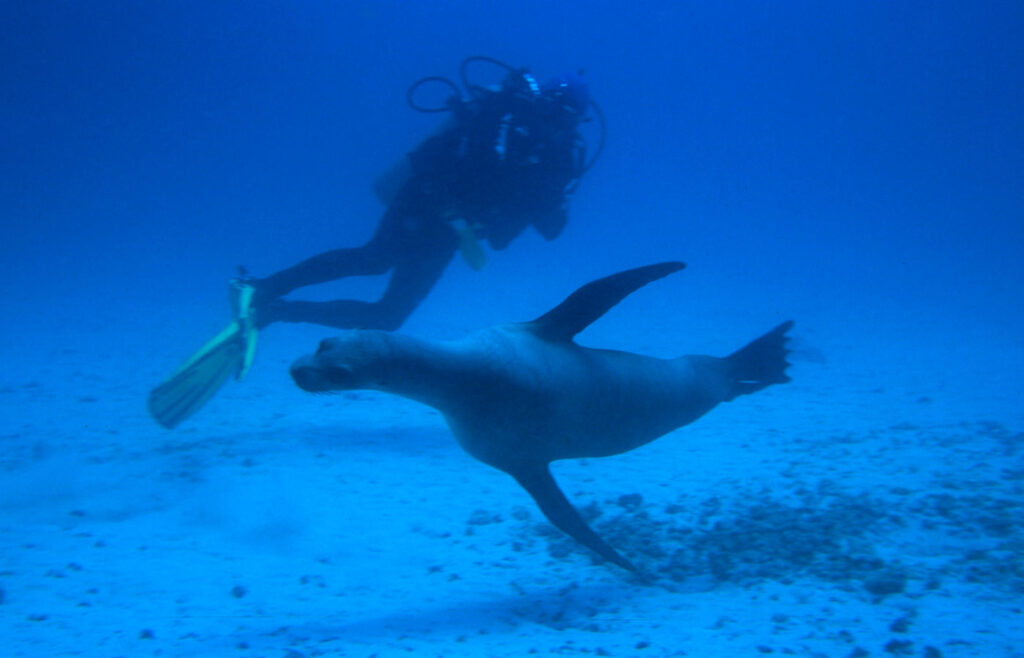 1.templete-gpsdivingcruises-home18-2048×1277