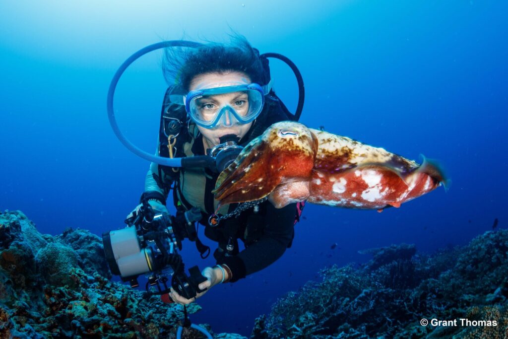 Grant+Thomas+-+Cuttle+Fish