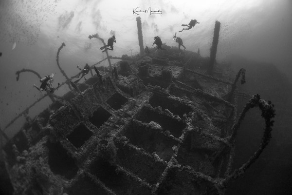 Numidia-big-Brother_65f6e_lg