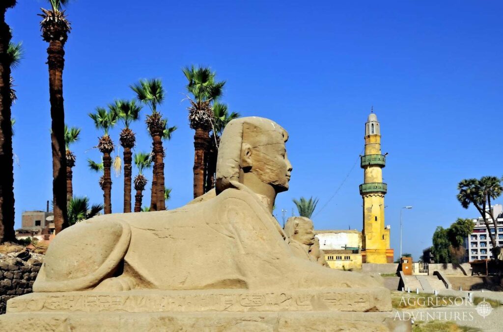 egypt9-2