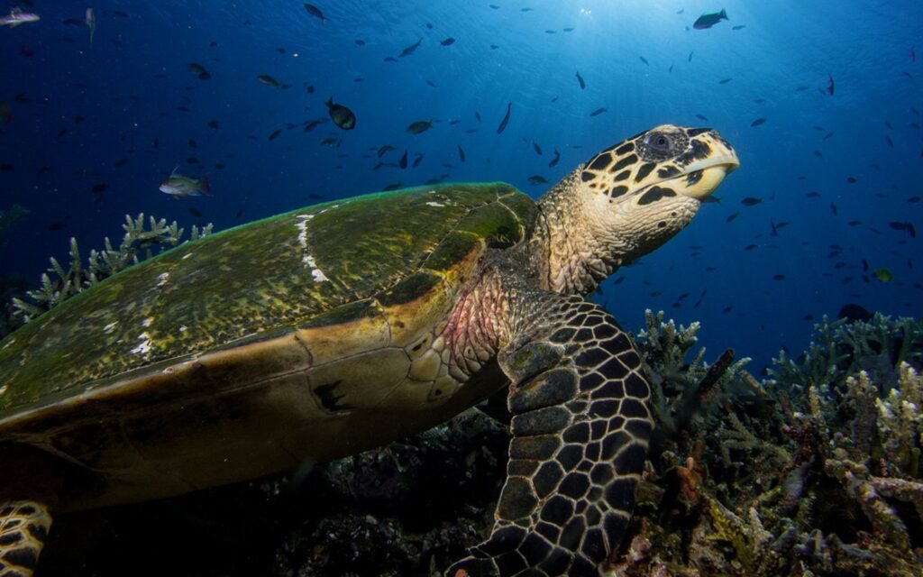 shooting-1920x800_0018_shooting