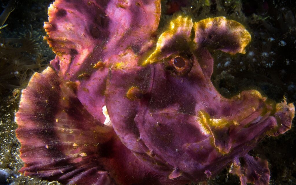 shooting-1920x800_0024_shooting