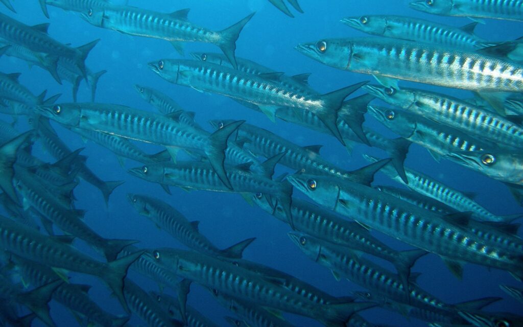 shooting-1920x800_0040_shooting