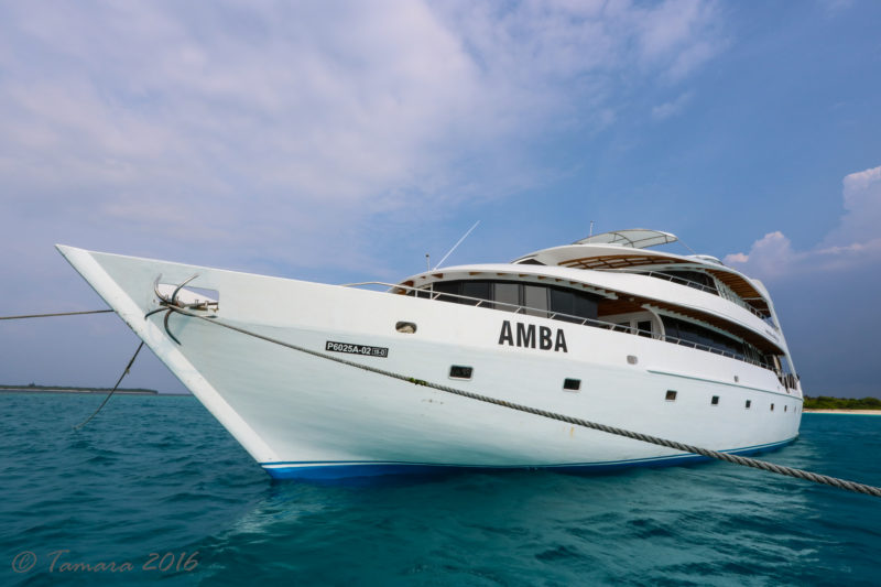 Amba-03-e1478431065667
