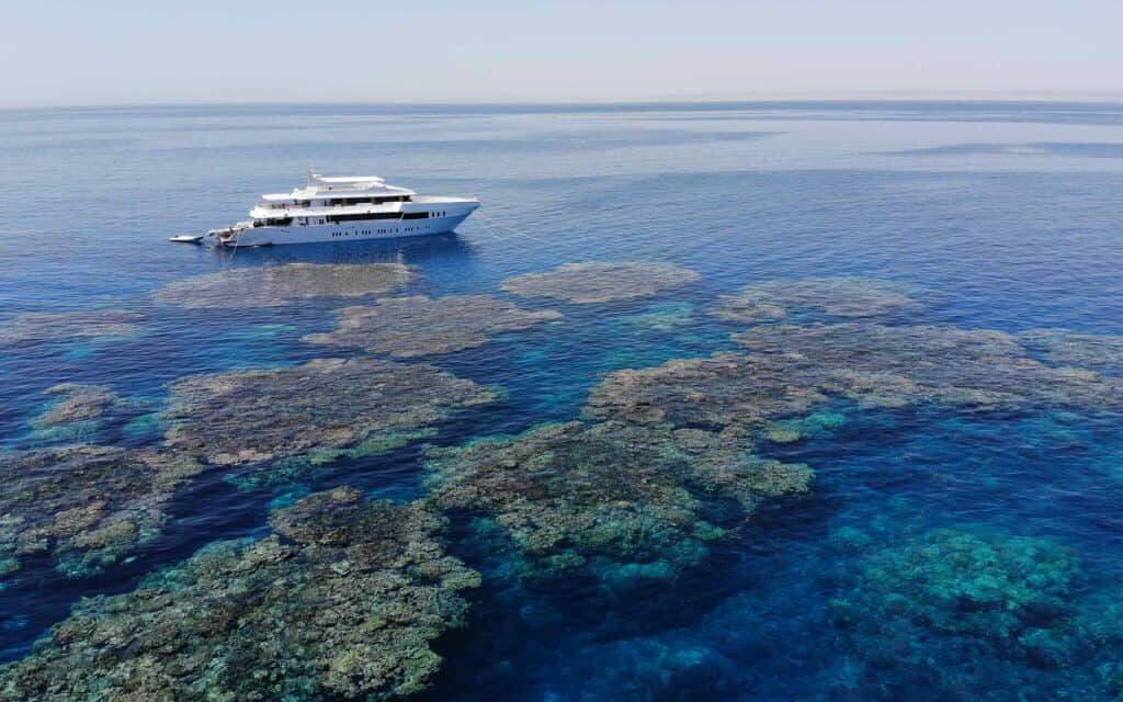 Blue Seas1