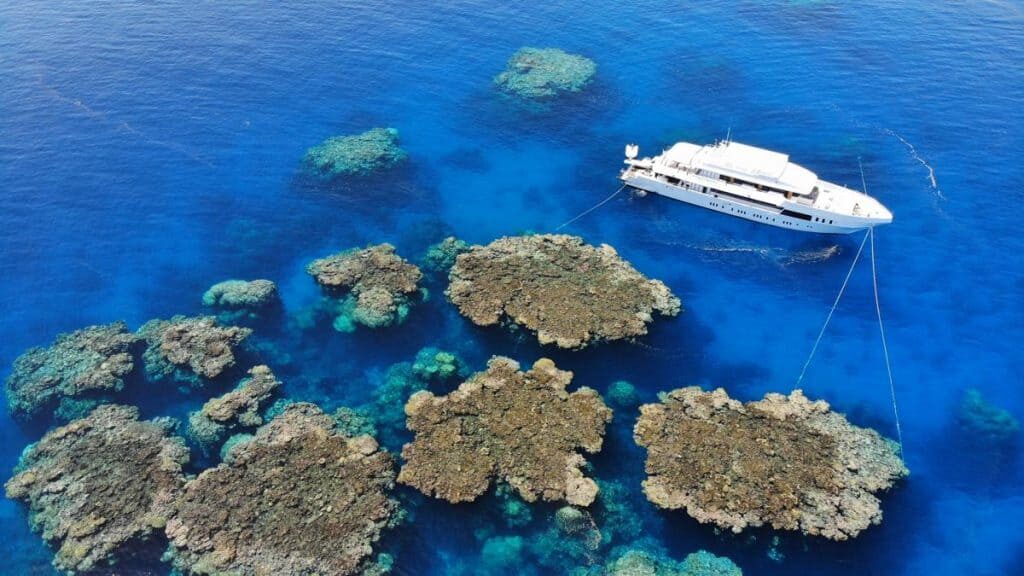 Blue Seas5