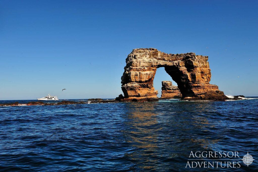 Galapagos_Aggressor_III15