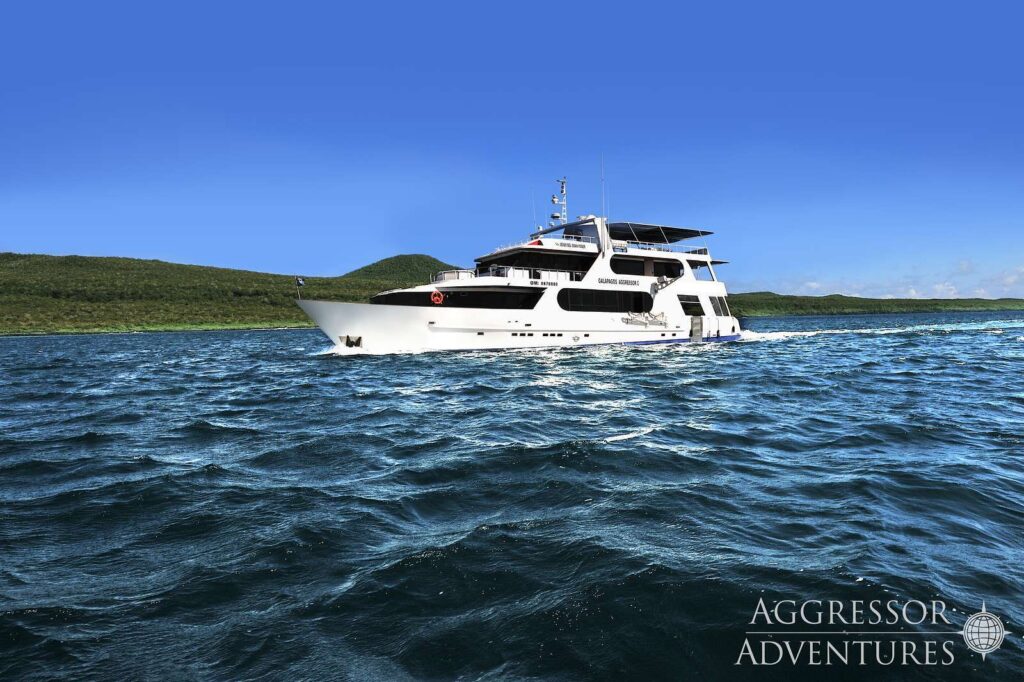 Galapagos_Aggressor_III19