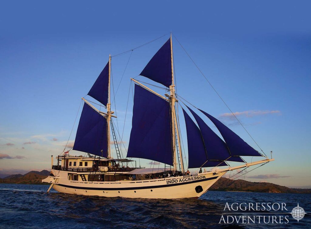 Indo Aggressor27