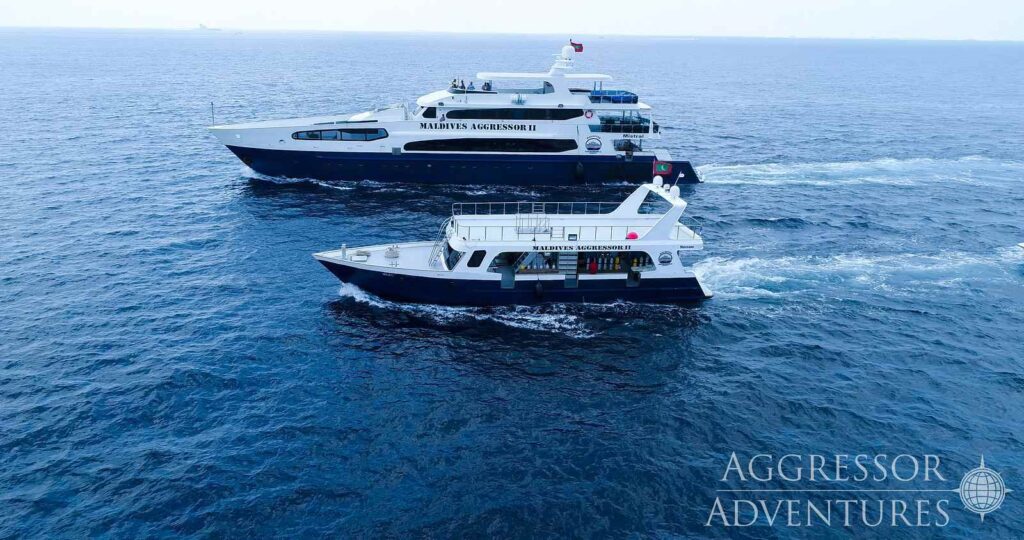 Maldives_Aggressor10