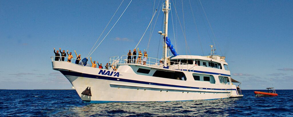 Naia7