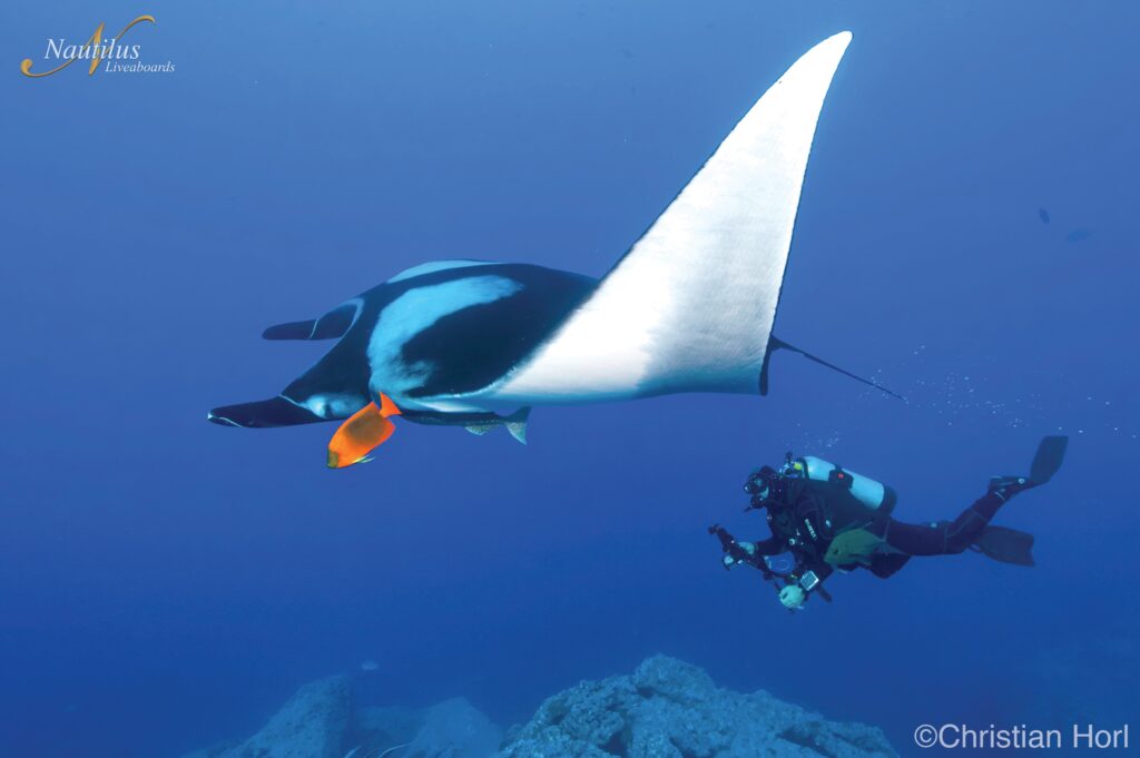 Nautilus_Socorro2