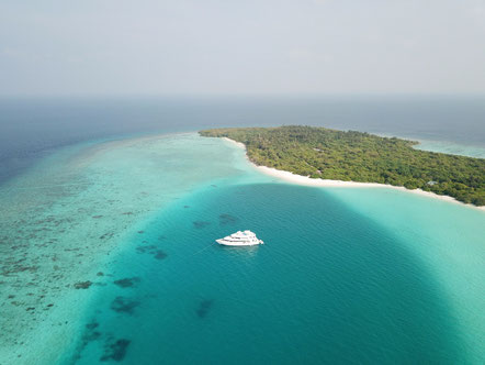 image (2)