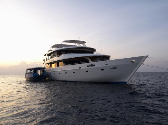 maldives-surf-charter-amba-001-14284
