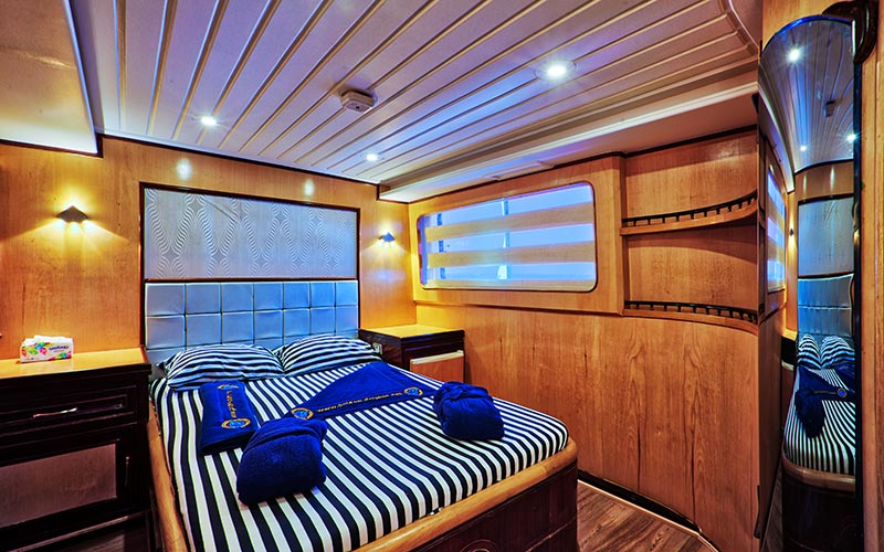 Golden Dolphin III suite