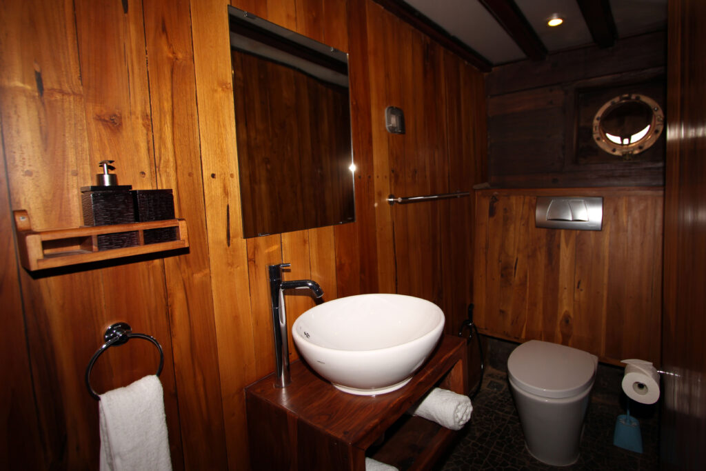 IMG_0222_lower_deck_cabin_15_bathroom