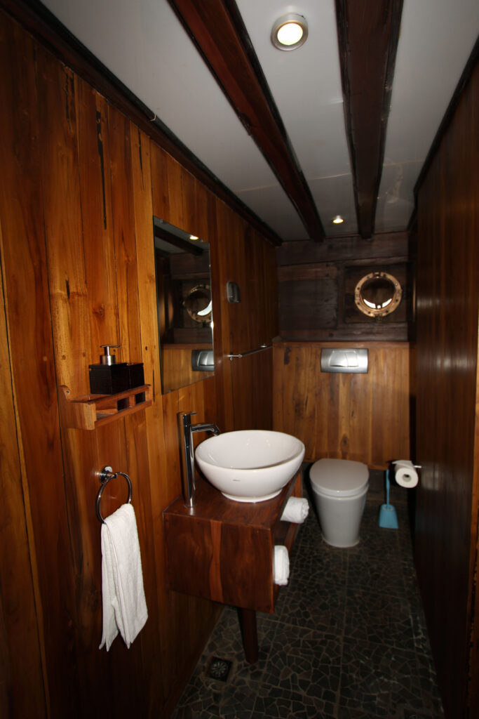 IMG_0229_lower_deck_cabin_15_bathroom