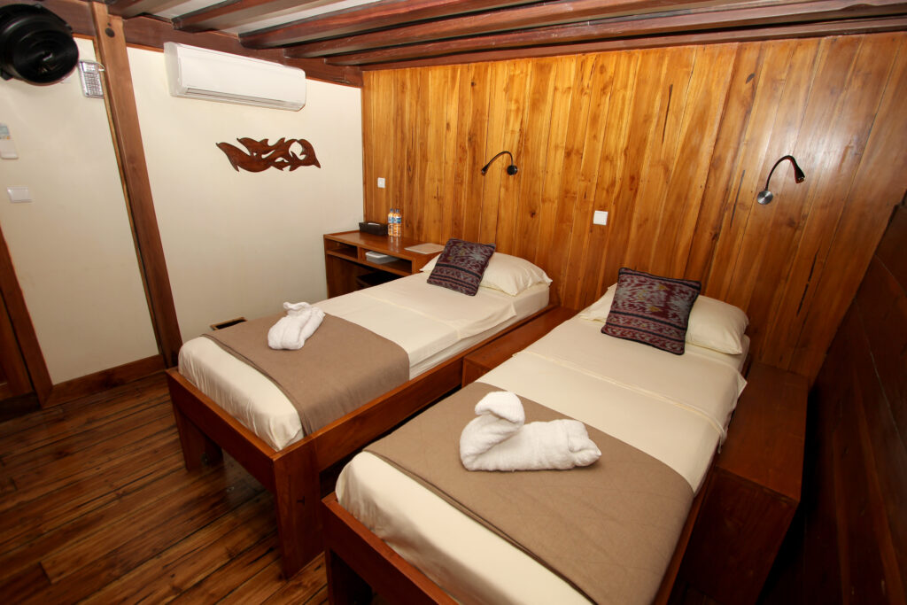 IMG_4942_lower_deck_cabin_17_as_twin