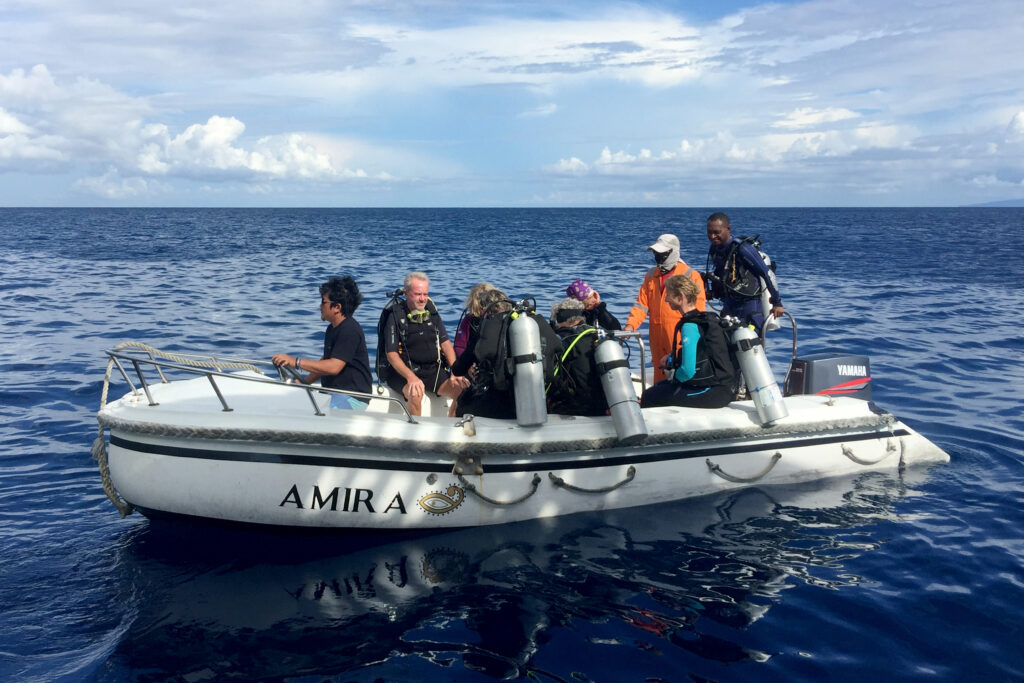 IMG_5118_new_speedboat