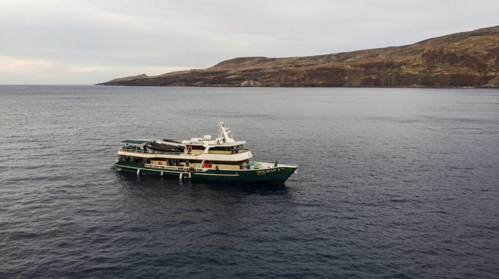 Solmar-and-Socorro-3-Julia-Bahlsen-e1582775268911