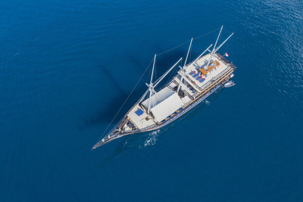 wpo_880_msv_amira_from_air