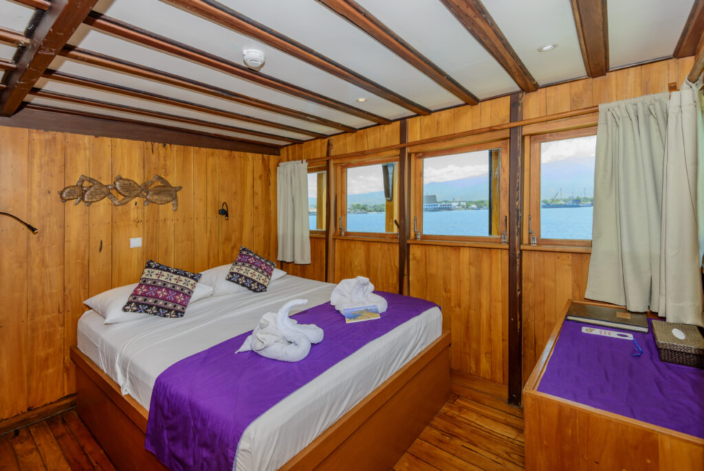 wpo_d061684_upper_deck_cabin_21_only_double