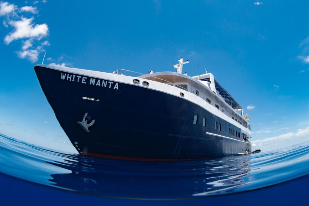 WhiteMantaExplorer