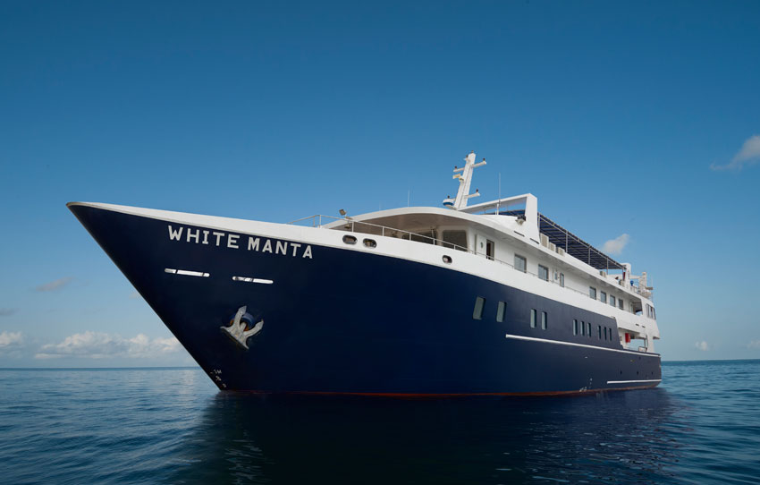 WhiteMantaExplorer