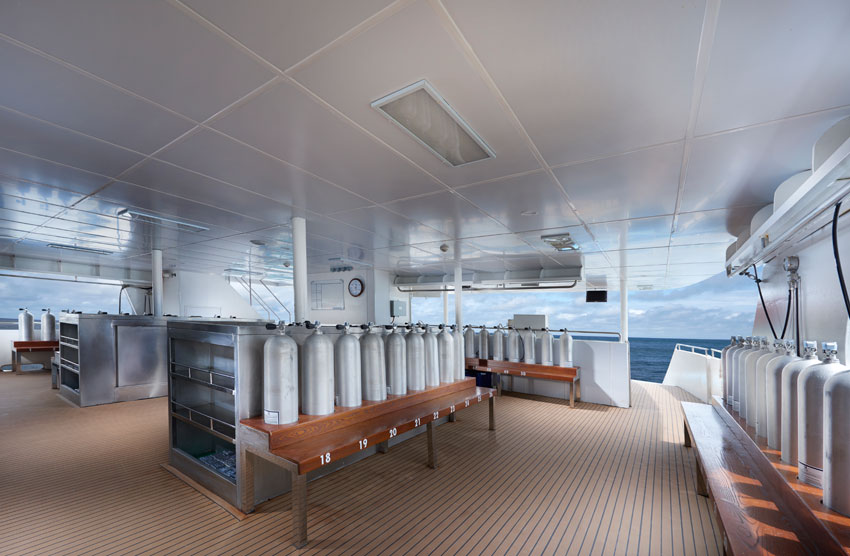 WhiteMantaExplorerDiveDeck