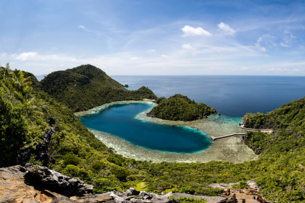 Coralia-Liveaboard-Teluk-Cinta