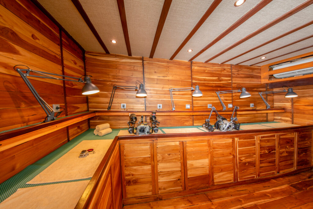 Coralia-Liveaboard-camera-room