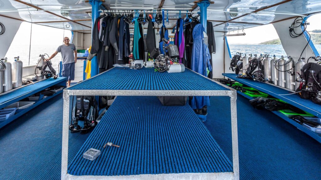 bilikiki-dive-deck-2-credit-tom-demeyer