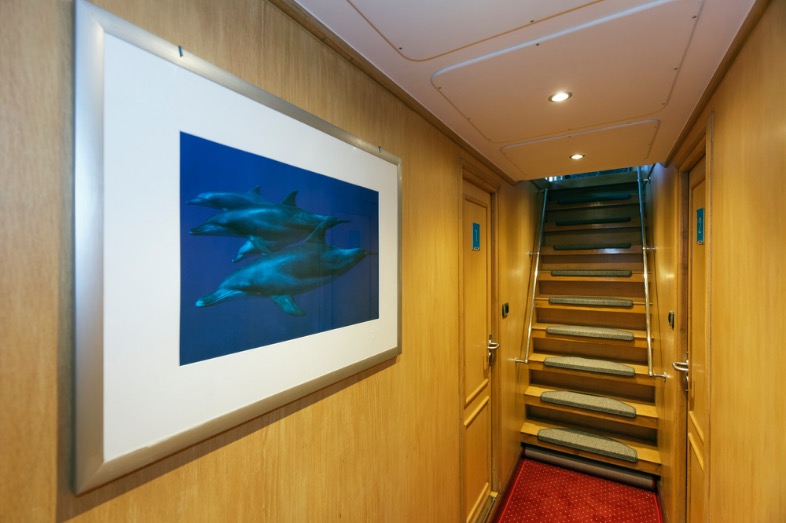 npr_Seven7Seas_Messe0019