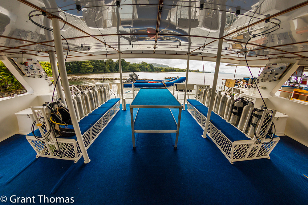 Dive Deck 1 – Grant Thomas