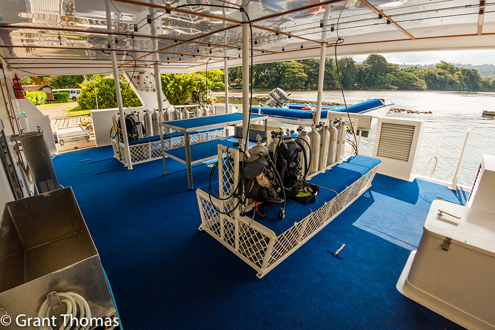 Dive Deck 2 – Grant Thomas