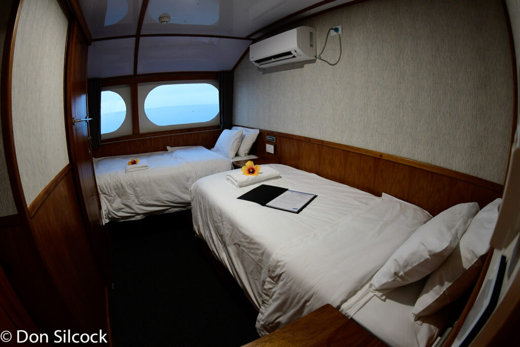 Oceania Twin Cabin – Don Silcock
