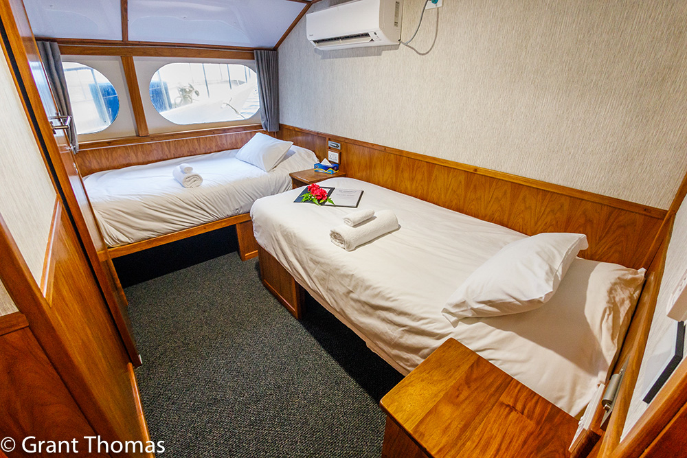 Oceania Twin Cabin – Grant Thomas