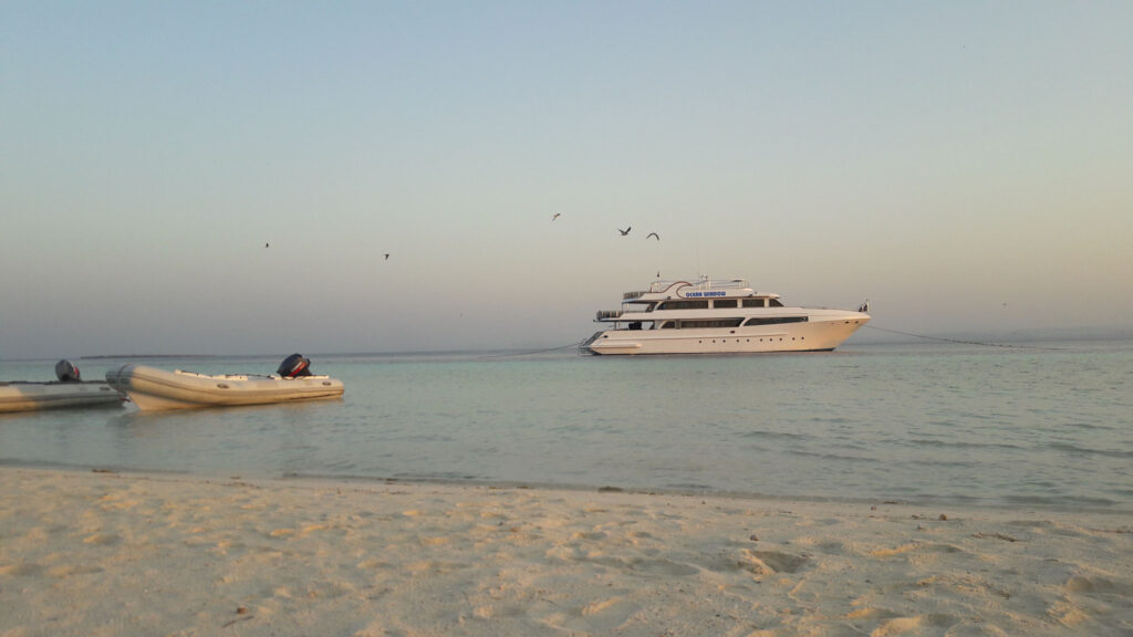 image (7)