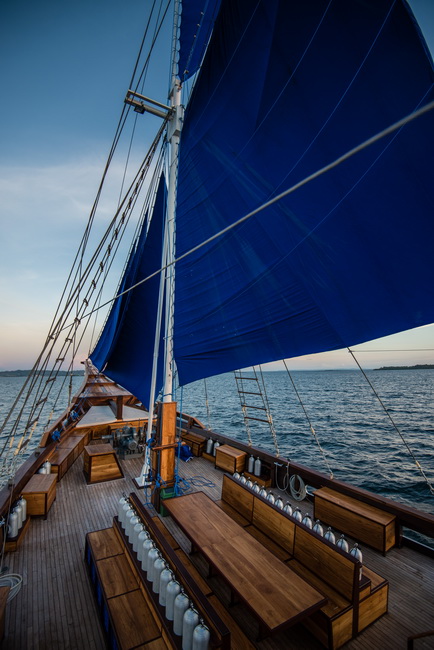 tanks_sail
